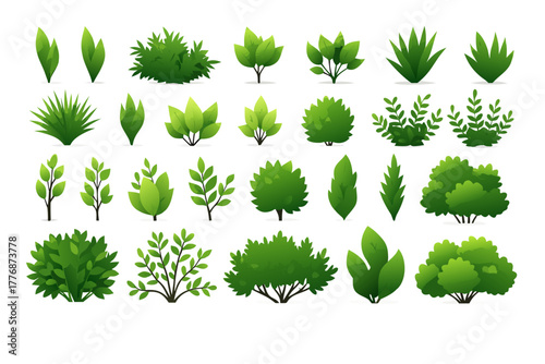 Decorative Green Bushes and Shrubs Set – Garden Plants and Landscape Elements Vector Illustration