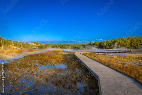 Morning light on the boardwalk at Norris Geyser Basin, Yellowstone National Park, Wyoming, USA, with steam vents and hot springs