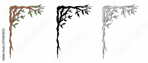 Elegant botanical corner frame, vector illustration