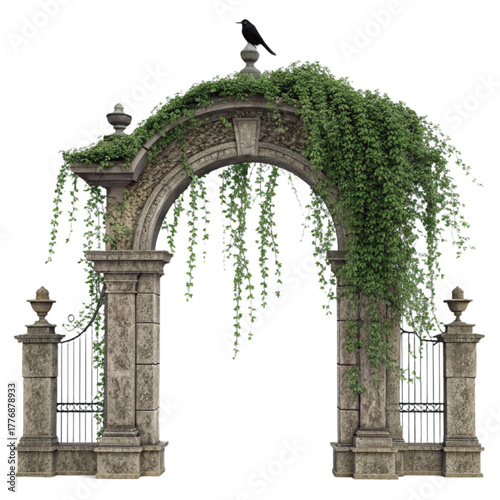 Discover a hidden world through this enchanting stone archway overgrown with lush vines and a watchful crow perched atop.
