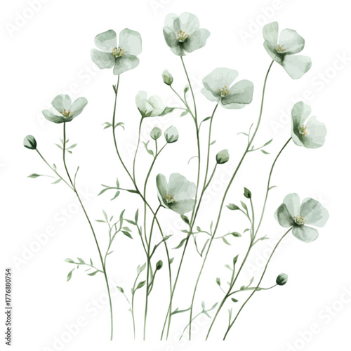 Watercolor Delicate White and Green Wildflowers Clipart Vector Illustration

