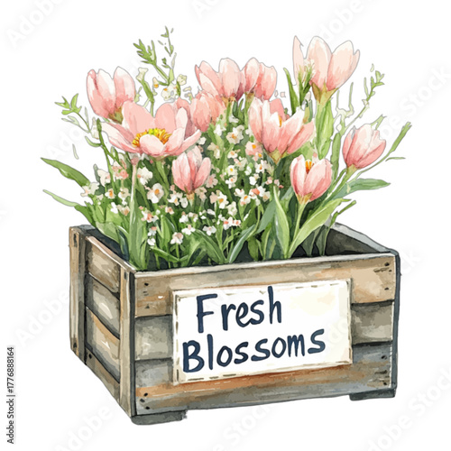 Pink Tulips and Spring Flowers in Rustic Wooden Crate, Vector Illustration

