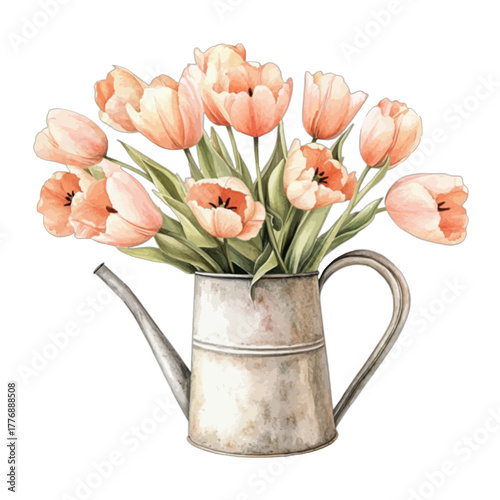 Watercolor Pink Tulips in Rustic Watering Can, Vector Illustration
