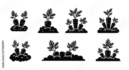 Simple black and white illustration of several carrot plants with foliage