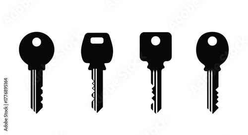 Four different black keys are displayed in a simple silhouette style