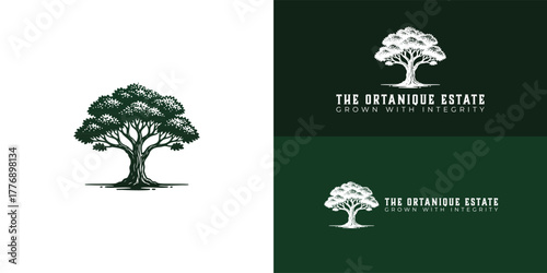A simple, green tree logo representing Jamaican agriculture. The strong, grounded design represents reliability and quality. This clean, modern icon is perfect for a mixed-crop farm focused on export.