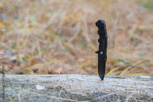 A folding knife standing upright on a log in a forest during autumn season