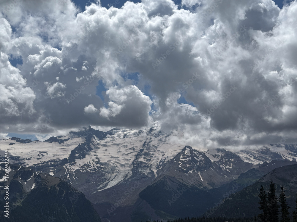 Fototapeta premium Spectacular view of pine trees and glaciers mountains in Mount Rainier National Park.USA, Washington.USA, Washington july 22 2025.