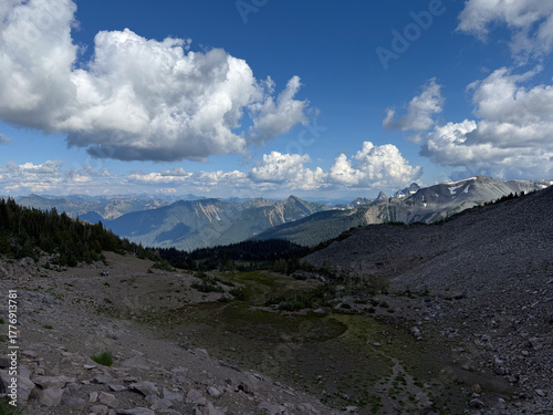Spectacular view of pine trees and few vegetation in Mount Rainier National Park.USA, Washington.USA, Washington july 22 2025.