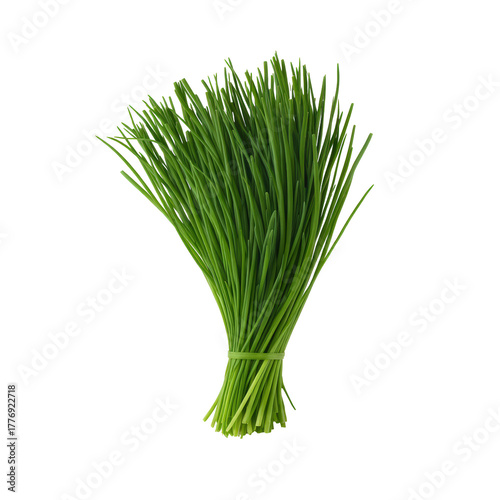 Large bunch of fresh chives isolated on transparent background, a versatile green herb for cooking