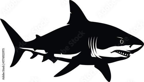 Black silhouette of a great white shark with sharp teeth and fins on white marine ocean