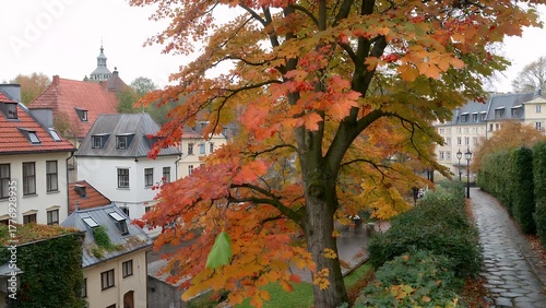 picturesque autumn scene in an old town district with colorful foliage adorning the streets and
