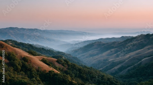 The mountains are covered in trees and the sky is a shade of pink