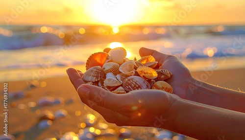 Close up of human hands holding seashells with the ocean and sunrise in the background warm golden light reflects on the water and shells