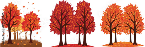 Autumn trees illustration, fall foliage landscape, seasonal nature scene, orange red yellow leaves, forest in autumn, vector design, tranquil