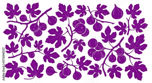 Purple fig leaves and fruit pattern on white background. Illustration of purple fig branches and fruits pattern, a decorative design isolated on white background