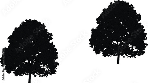 The image features trees set against a clean white background, creating a striking visual contrast. The tree on the left is depicted in a dark  hue, which adds an element of uniqueness and vibrancy to