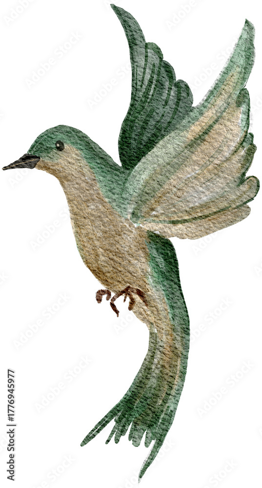 Obraz premium Watercolor Green Bird Illustration Hand Painted Flying Bird Clipart