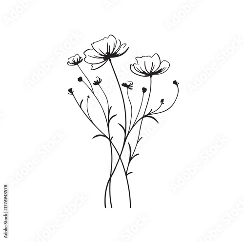 wildflower black line drawing vector illustration 