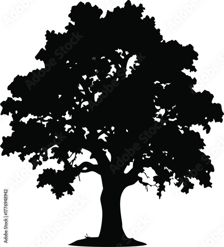 Strong Oak Tree Silhouette with Dense Foliage and Expansive Canopy