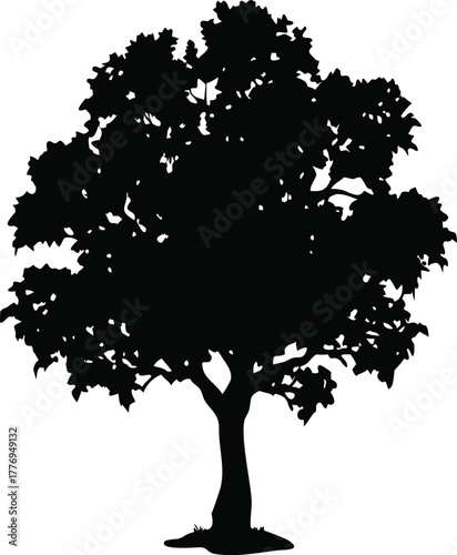 Tree Silhouette Vector Illustration, Black Isolated Deciduous Tree Graphic for Nature, Outdoor, and Environmental Design