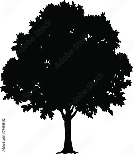 Tree Silhouette Vector, Isolated Black Deciduous Tree Illustration for Nature and Landscape Artwork