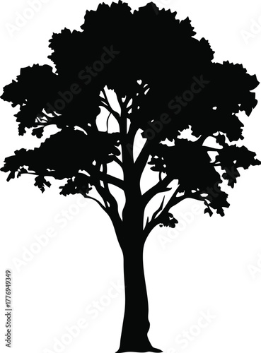 Tall Tree Silhouette Vector, Black Deciduous Tree Graphic for Nature, Forest, or Landscape Illustrations