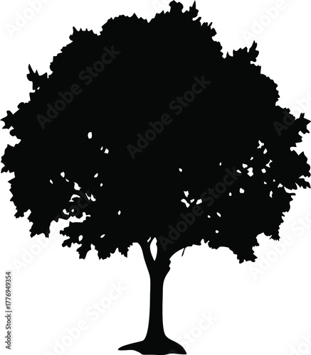 Tree Silhouette Clipart, Black Isolated Deciduous Tree Vector for Nature, Landscape, and Environmental Projects