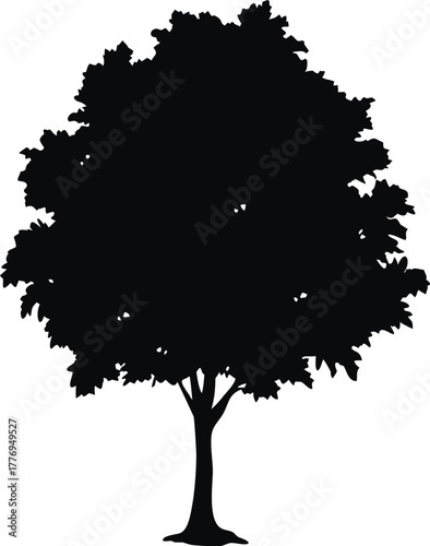 Tree Silhouette Illustration, Black Vector of Full Grown Tree with Rounded Canopy on White Background for Nature and Design Use