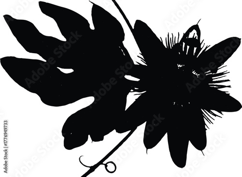 The image presents a striking silhouette of a passionflower bloom and its accompanying leaf, set against a clean white background that enhances the contrast . black ink blots