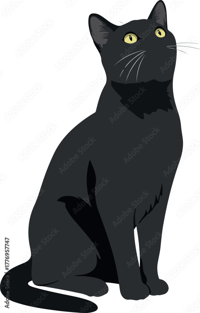 Obraz premium Black Cat Sitting Looking Up Simple Flat Illustration Isolated