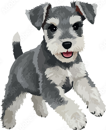 Cute Schnauzer Puppy Dog Playful Gray and White Isolated Vector