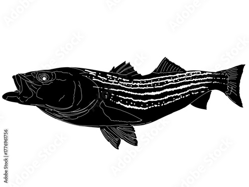 A Striper Fish silhouette with white outline