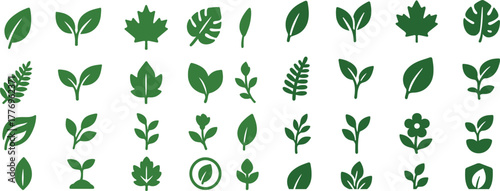 solid color flat icons representing leaves and nature themes. Plain simple shapes with smooth edges, no gradients, no textures, no raster effects. Icons include maple leaf, oak leaf, birch leaf, chest