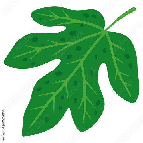 papaya leaf nature plant flat color vector illustration template design