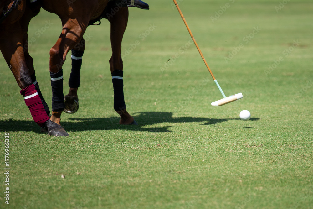 Obraz premium polo horse with a polo mallet and ball on a polo field during a match