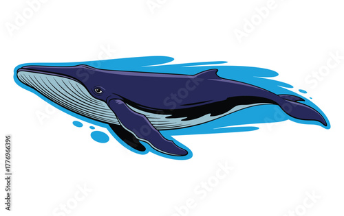 Vector illustration of blue whale isolated on white background ideal for ocean marine wildlife nature animal creative or educational design artwork