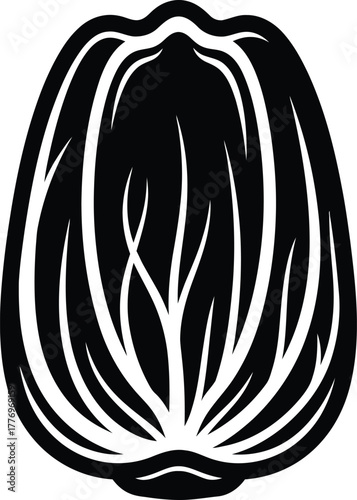 Stylized Napa Cabbage Vegetable Illustration in Black and White Minimalist Design