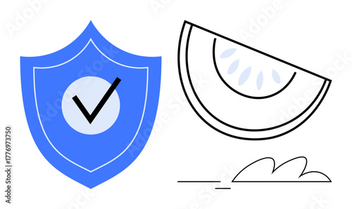 Blue shield featuring a checkmark beside a fruit slice with seeds and minimal lines. Ideal for security, protection, health, wellness, organic, safety, and assurance themes. Simple flat metaphor