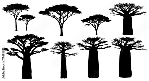 African Trees Silhouettes Baobab Tree Forest