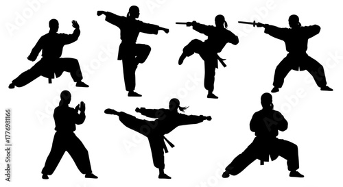 Martial Artists Silhouettes Training Black Belts Fighters