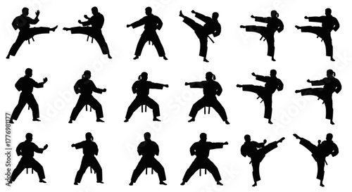 Martial Arts Silhouette Set Kata Stances Isolated on White