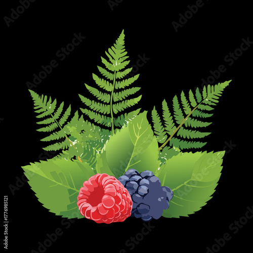 Dark illustration of wild fern plants and assorted berries like raspberries and blueberries on black background
