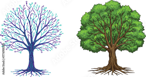 green tree isolated on white