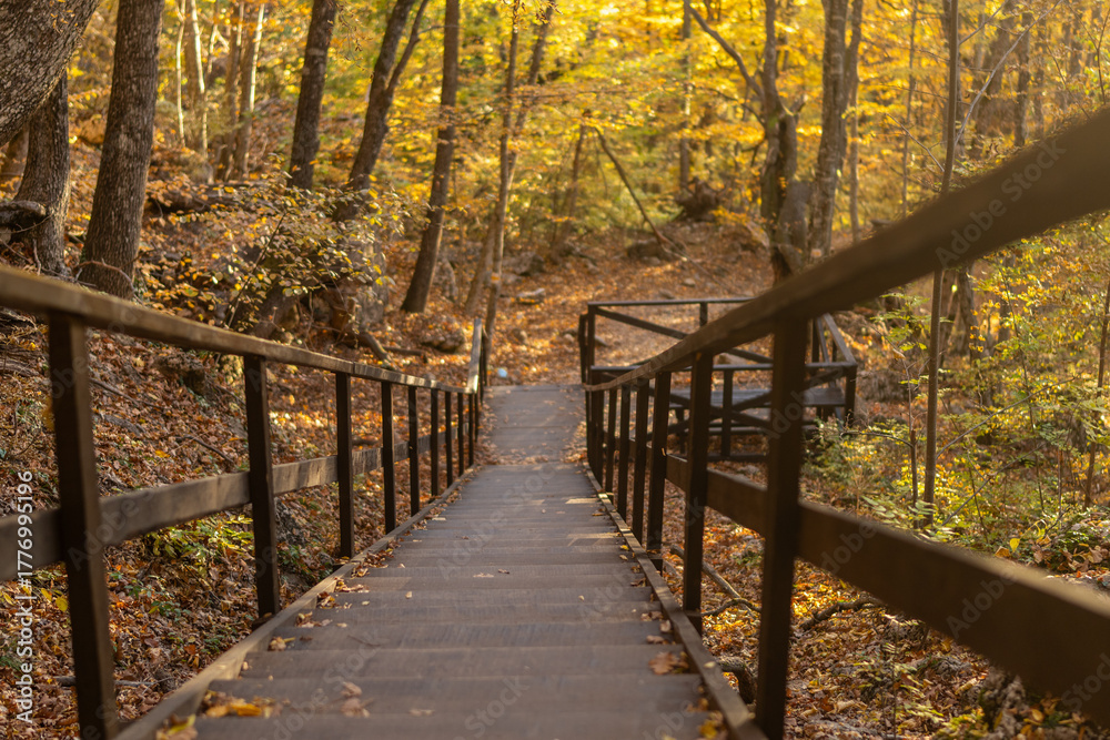 Fototapeta premium Autumn forest stairs, a scenic wooden pathway descending through vibrant fall foliage