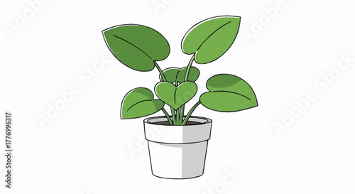 plant in a pot