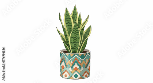 plant in a pot
