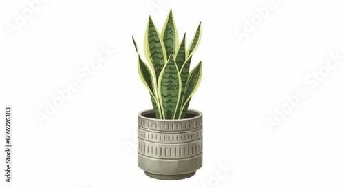 plant in a pot