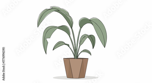 plant in a pot