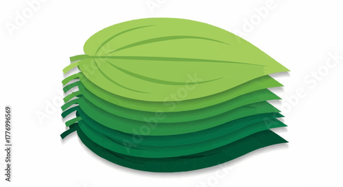 green leaves isolated on white